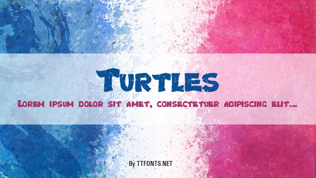 Turtles example