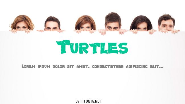 Turtles example