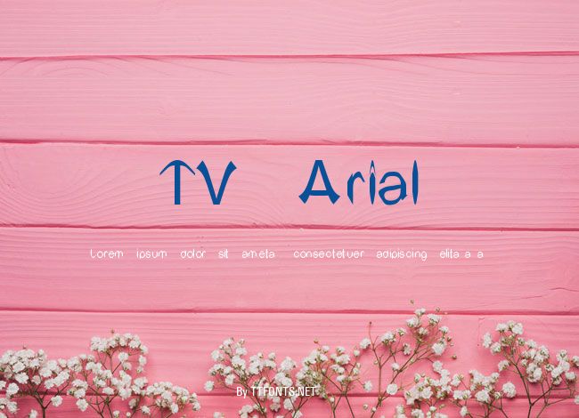 TV Arial example