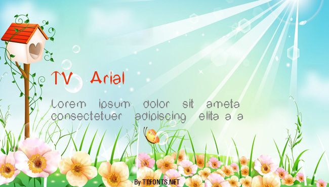 TV Arial example