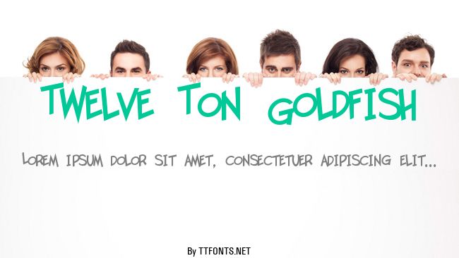 Twelve Ton Goldfish example