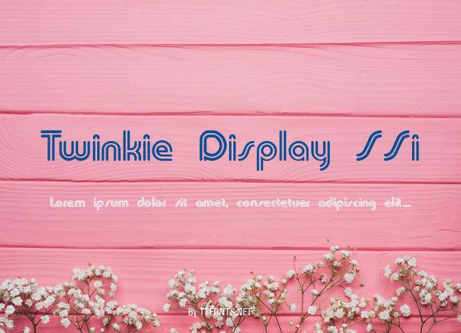 Twinkie Display SSi example