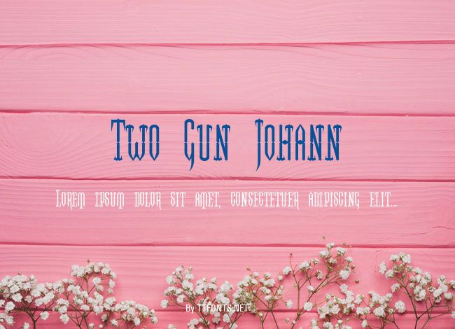 Two Gun Johann example