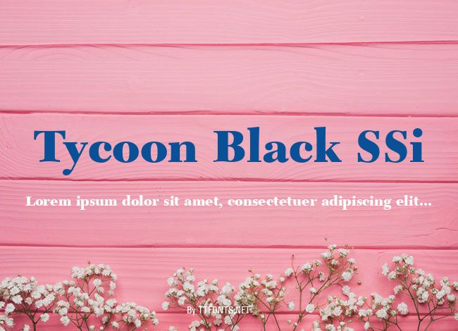 Tycoon Black SSi example