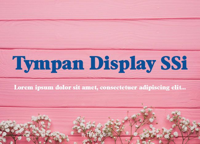 Tympan Display SSi example