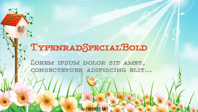TypenradSpecialBold example