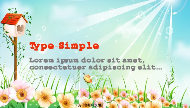 Type-Simple example