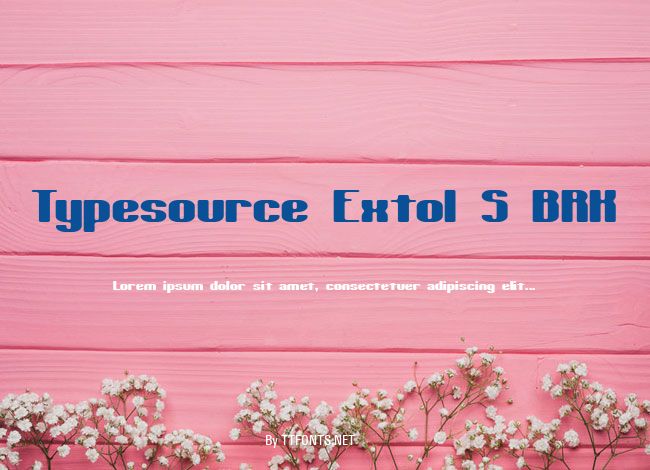 Typesource Extol S BRK example