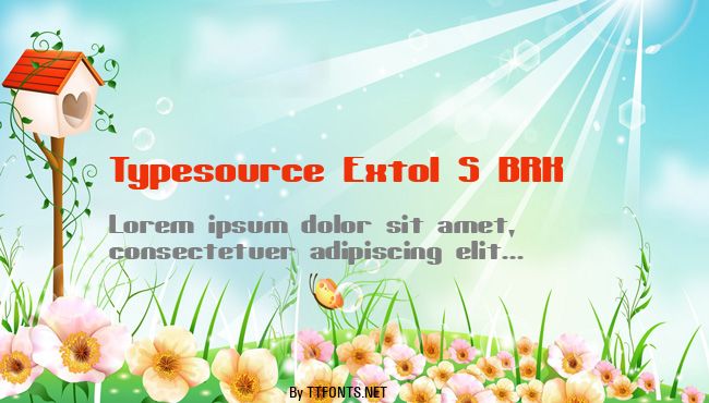Typesource Extol S BRK example