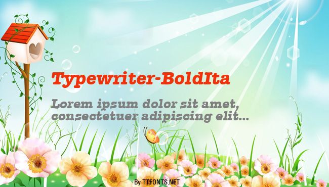 Typewriter-BoldIta example
