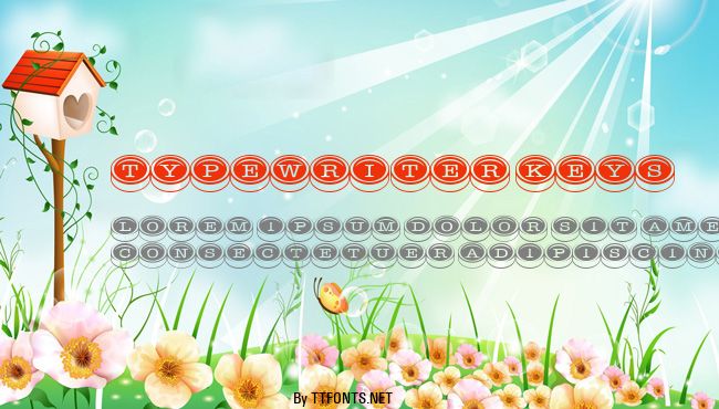 Typewriter Keys example