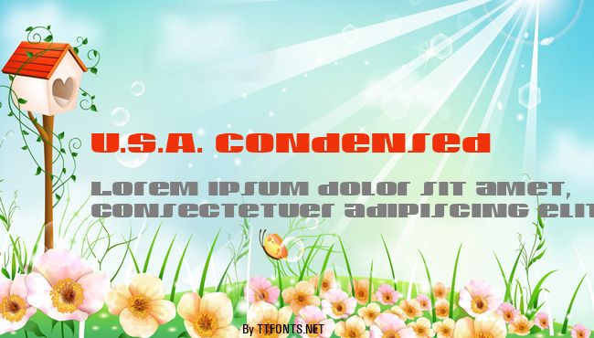 U.S.A. Condensed example