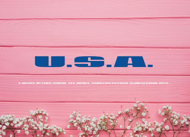 U.S.A. example