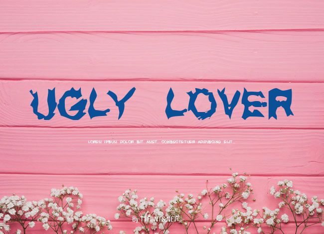 UGLY LOVER example