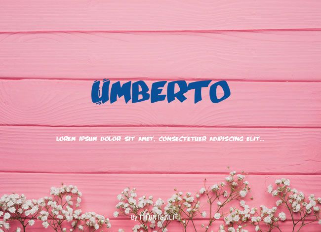 Umberto example