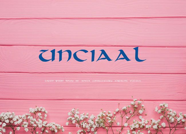 unciaal example