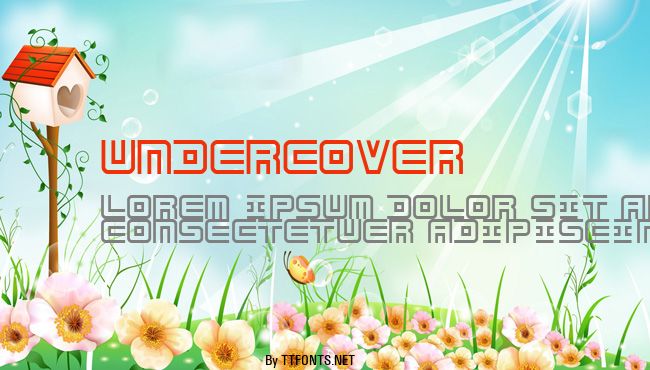 Undercover example