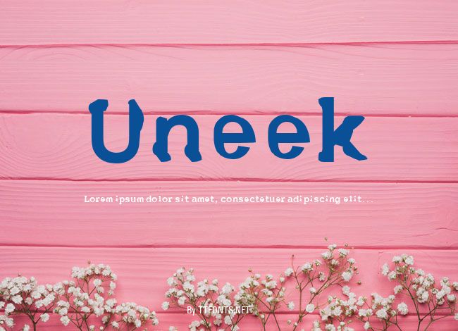Uneek example
