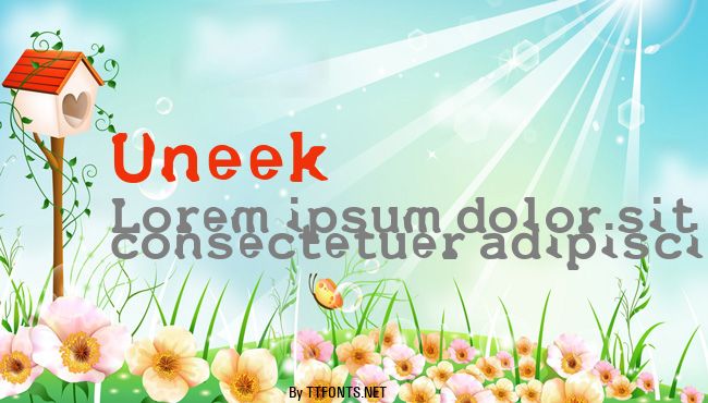 Uneek example