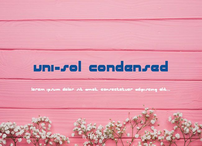 uni-sol condensed example
