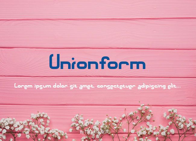 Unionform example