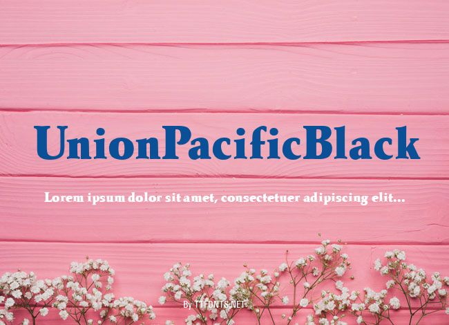 UnionPacificBlack example