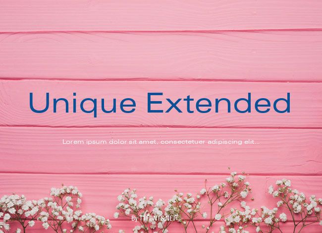 Unique Extended example