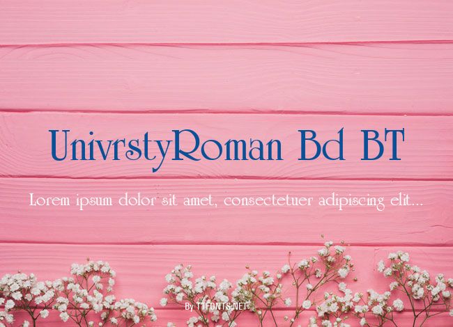 UnivrstyRoman Bd BT example