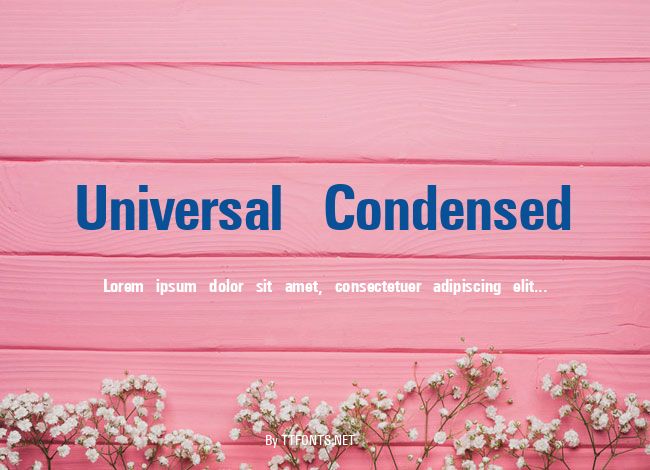 Universal Condensed example