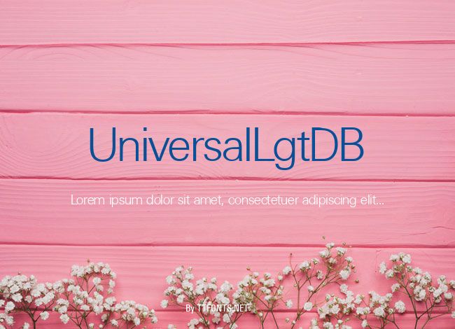 UniversalLgtDB example