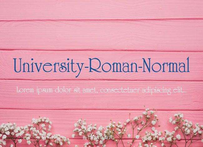 University-Roman-Normal example