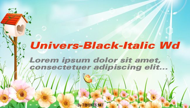 Univers-Black-Italic Wd example