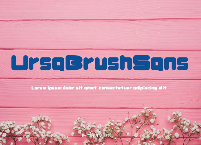 UrsaBrushSans example