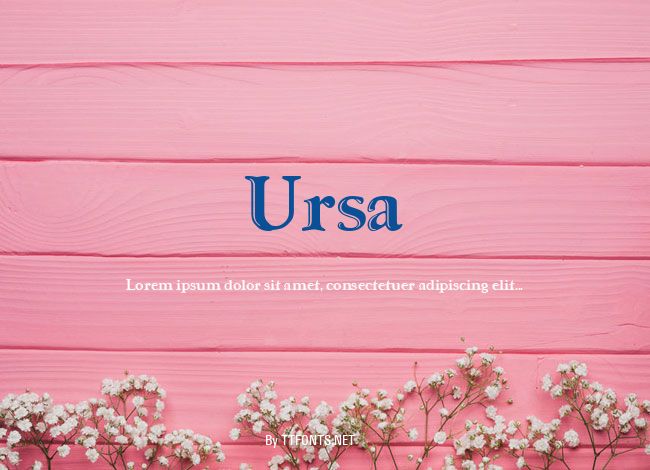 Ursa example