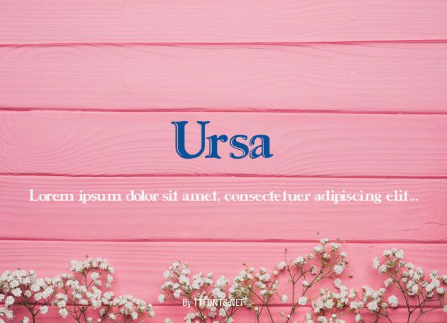 Ursa example