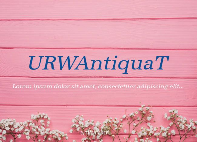 URWAntiquaT example