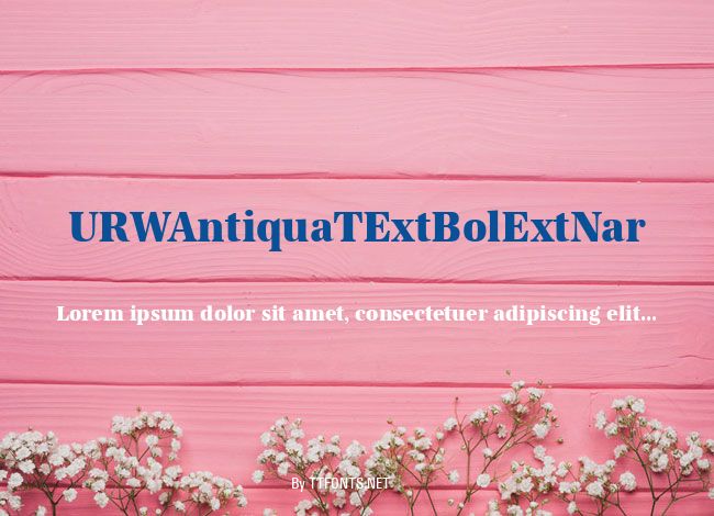 URWAntiquaTExtBolExtNar example