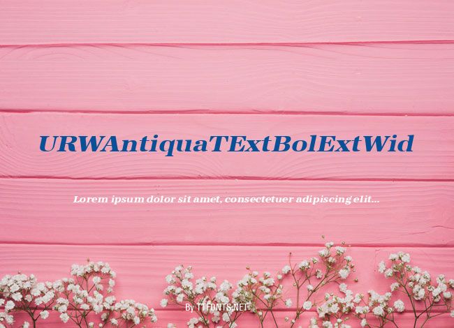 URWAntiquaTExtBolExtWid example
