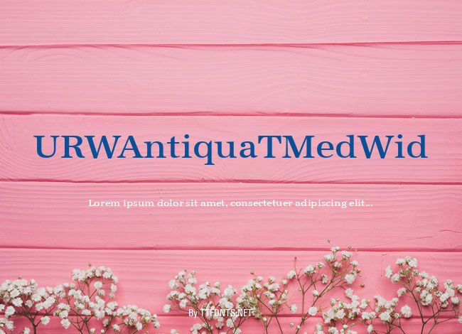 URWAntiquaTMedWid example