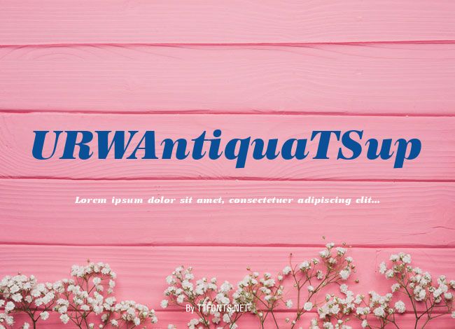 URWAntiquaTSup example