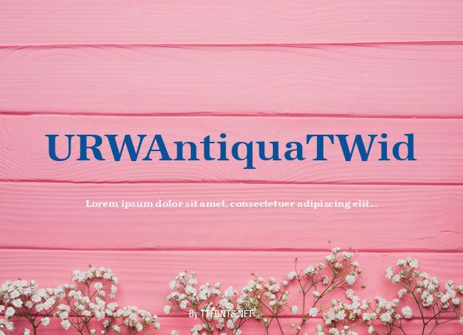 URWAntiquaTWid example