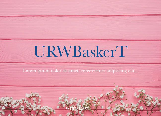 URWBaskerT example