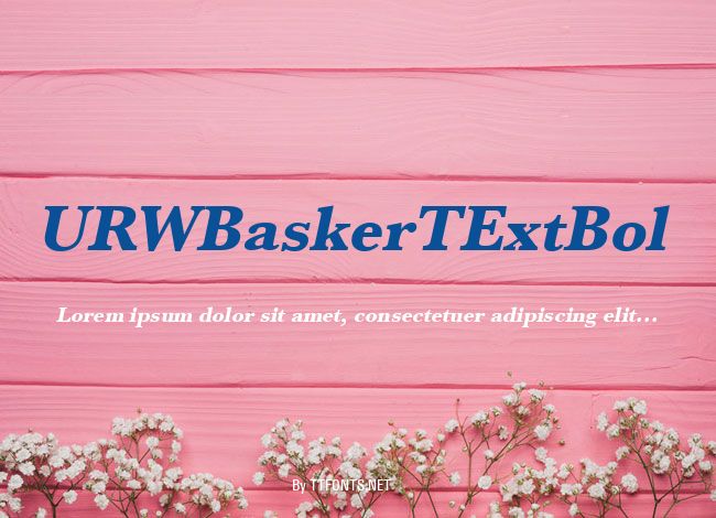 URWBaskerTExtBol example