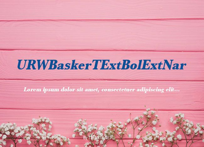 URWBaskerTExtBolExtNar example