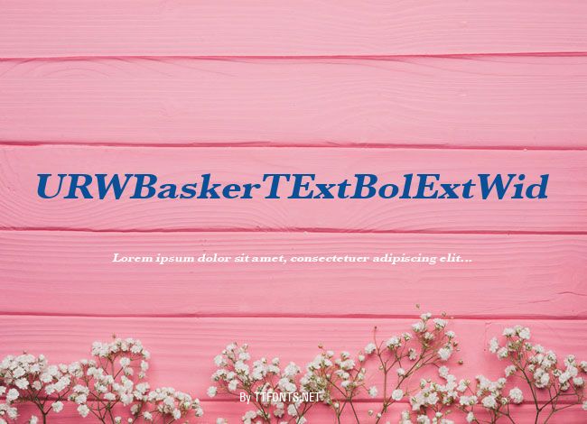 URWBaskerTExtBolExtWid example