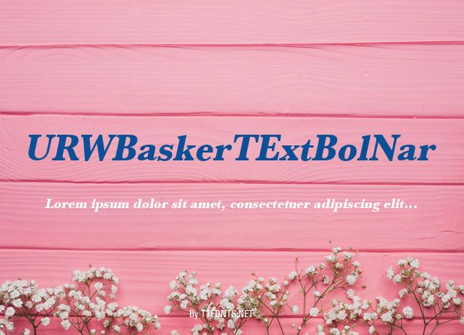 URWBaskerTExtBolNar example
