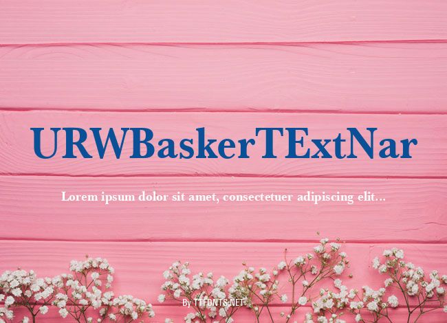 URWBaskerTExtNar example