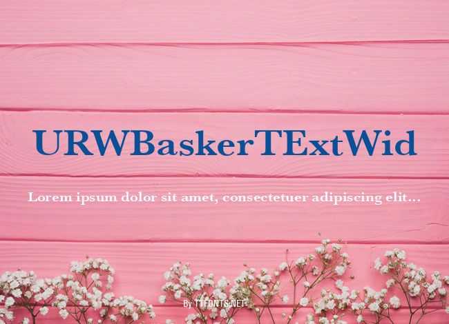 URWBaskerTExtWid example