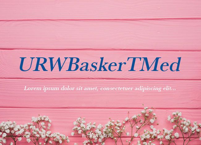 URWBaskerTMed example