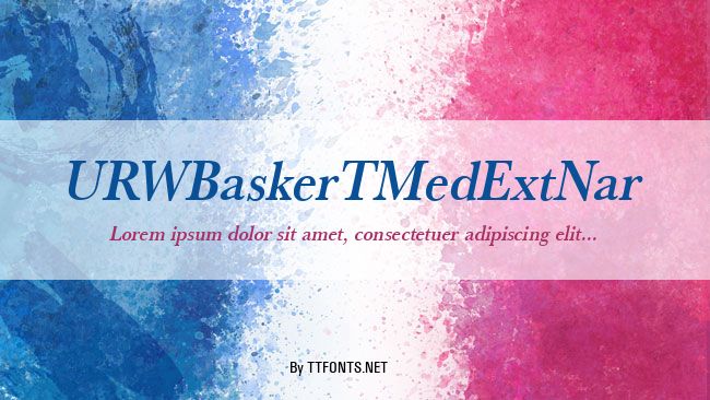 URWBaskerTMedExtNar example